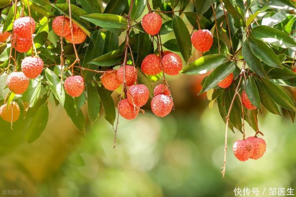 牛客栈 夏季越热，越要远离荔枝！医生：不想上火，老年人少做三事