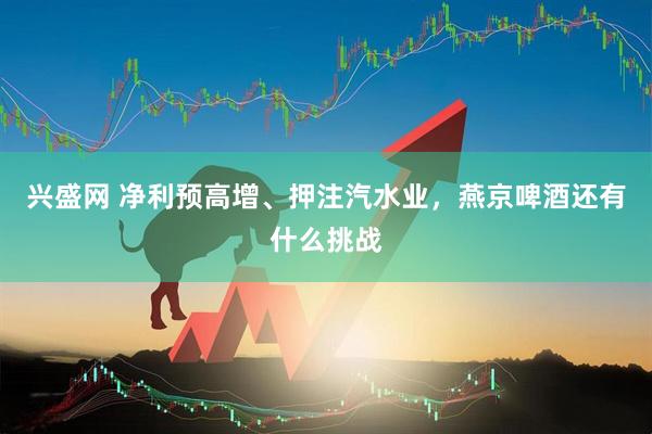 兴盛网 净利预高增、押注汽水业，燕京啤酒还有什么挑战
